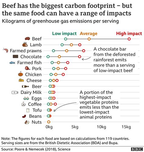 my diet impact on climate change test|Calculate the environmental footprint of your food .